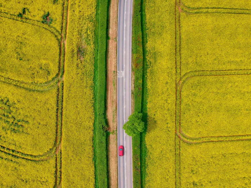 Landstraße aus der Vogelperspektive, die durch saftig grüne Felder führt.